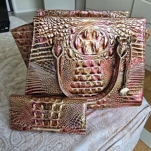 Brahmin Elegant Stonecast Gold and Pink Priscilla And Ady Bag Set BNWT